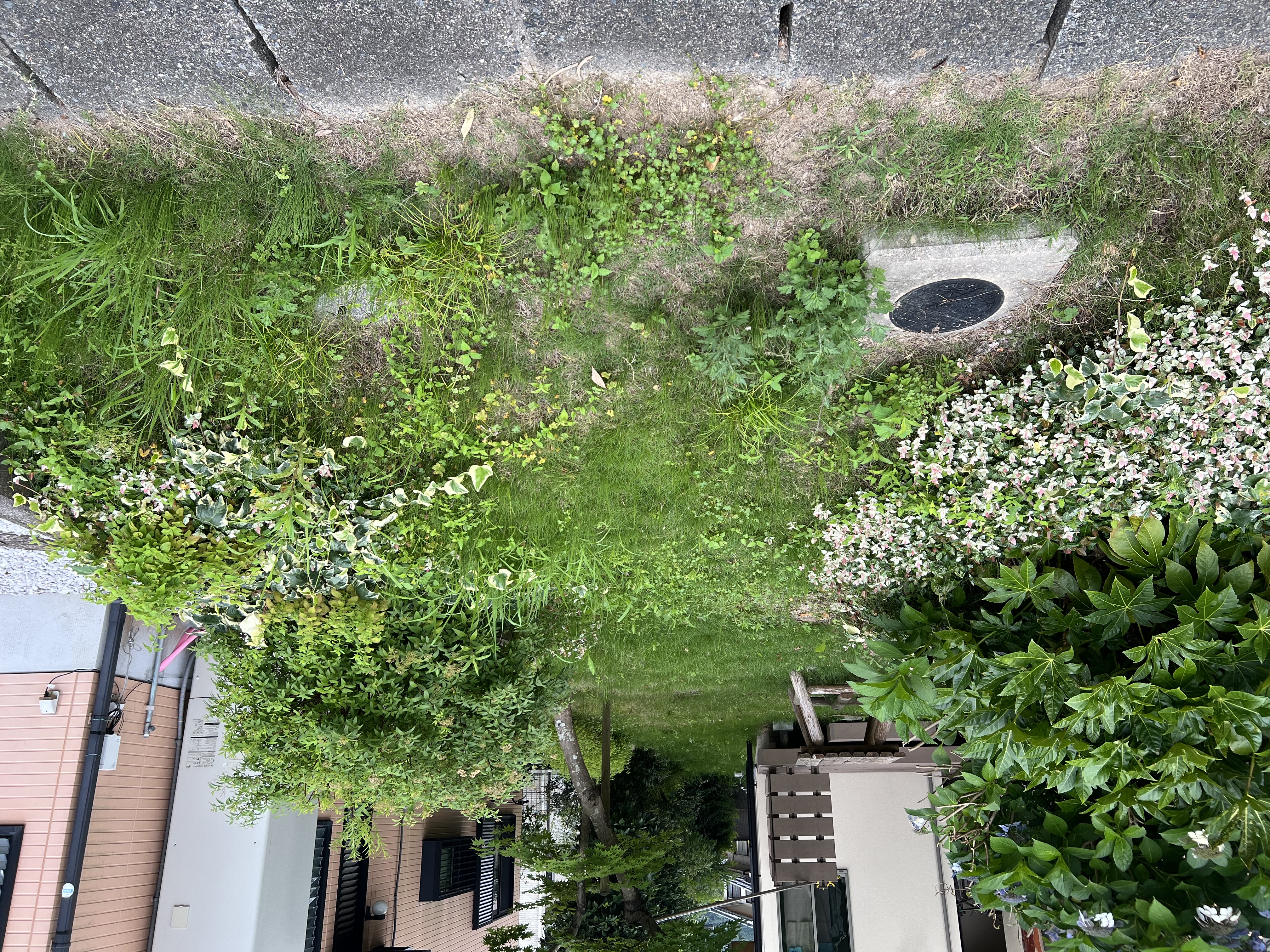 完成状況